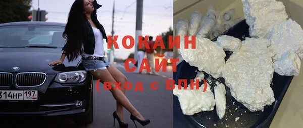 хмурый Абаза