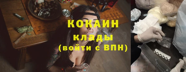 молекула духа Алексеевка