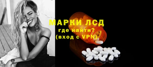 хмурый Абаза