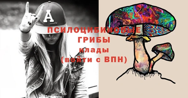 хмурый Абаза