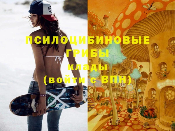 ECSTASY Грязи