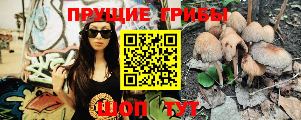 Ирбит  Галлюциногенные грибы мухоморы  Вход с VPN 